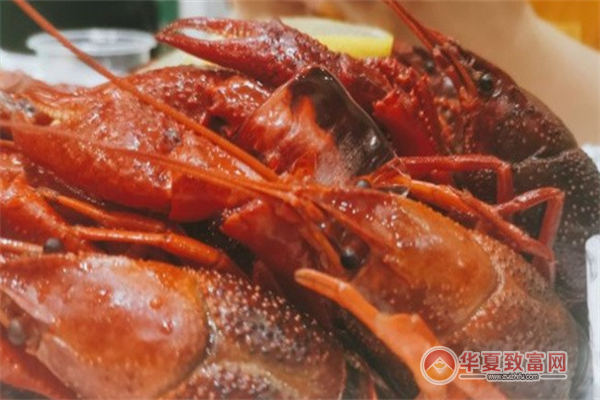 虾爸爸加盟